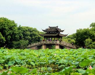 景點(diǎn)：曲院風(fēng)荷