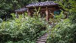 龍虎山無蚊村