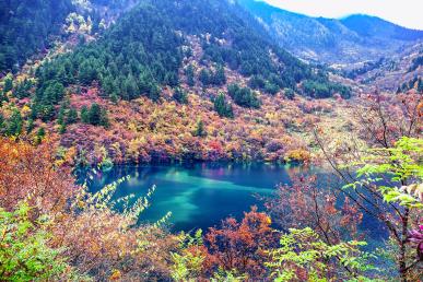 景點(diǎn)：九寨溝風(fēng)景